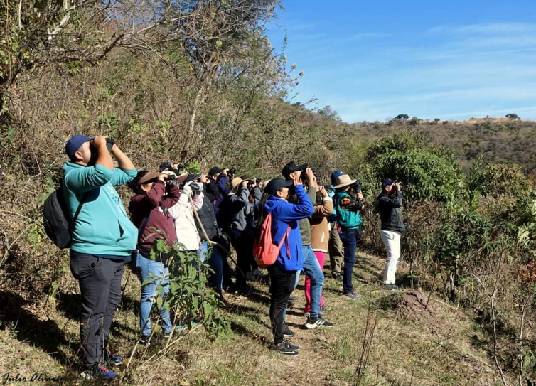 Observación de aves (UMA Agua Blanca)